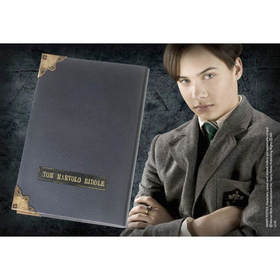 Tom riddle dagboek