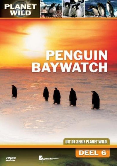 Penguin baywatch – planet wild – DVD