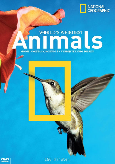 World's weirdest animals – DVD