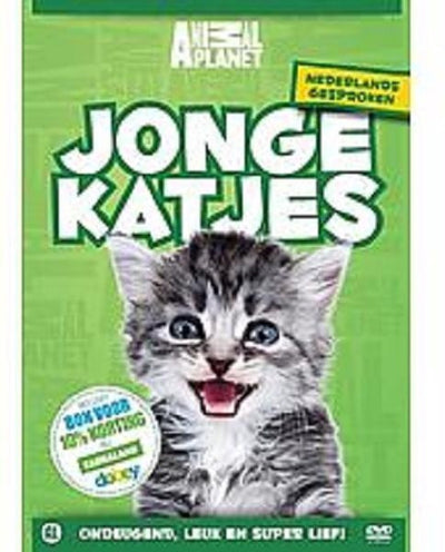 Jonge katjes – DVD