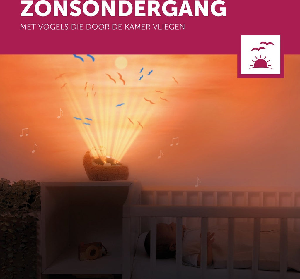 Zazu henry de egel zonsondergang projector