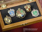Hogwarts house pinnen