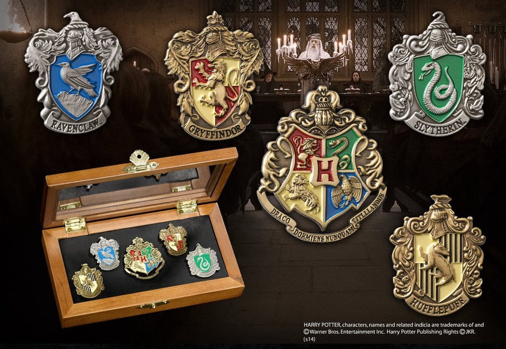 Hogwarts house pinnen