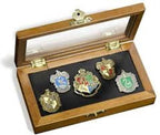 Hogwarts house pinnen