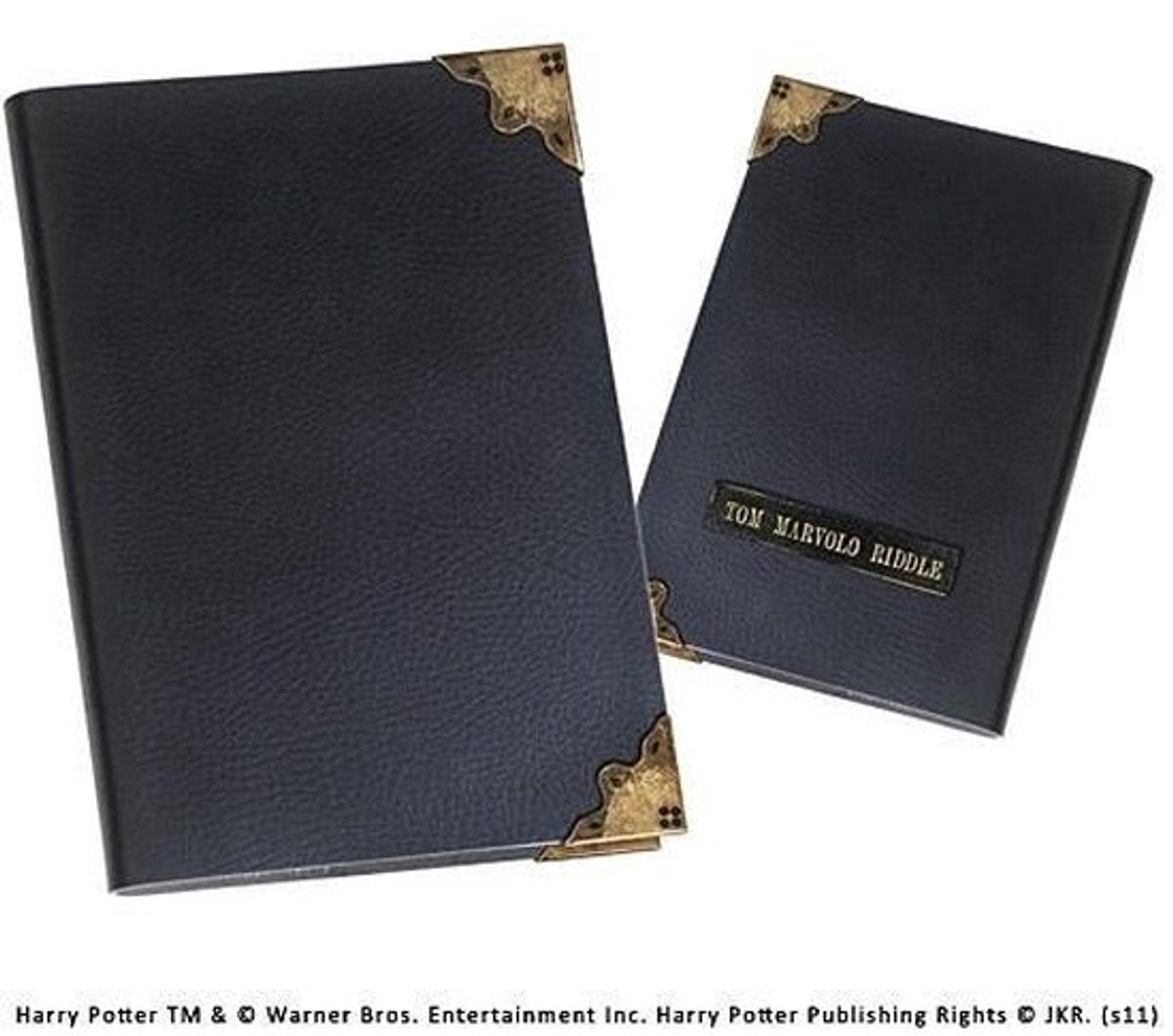 Tom riddle dagboek