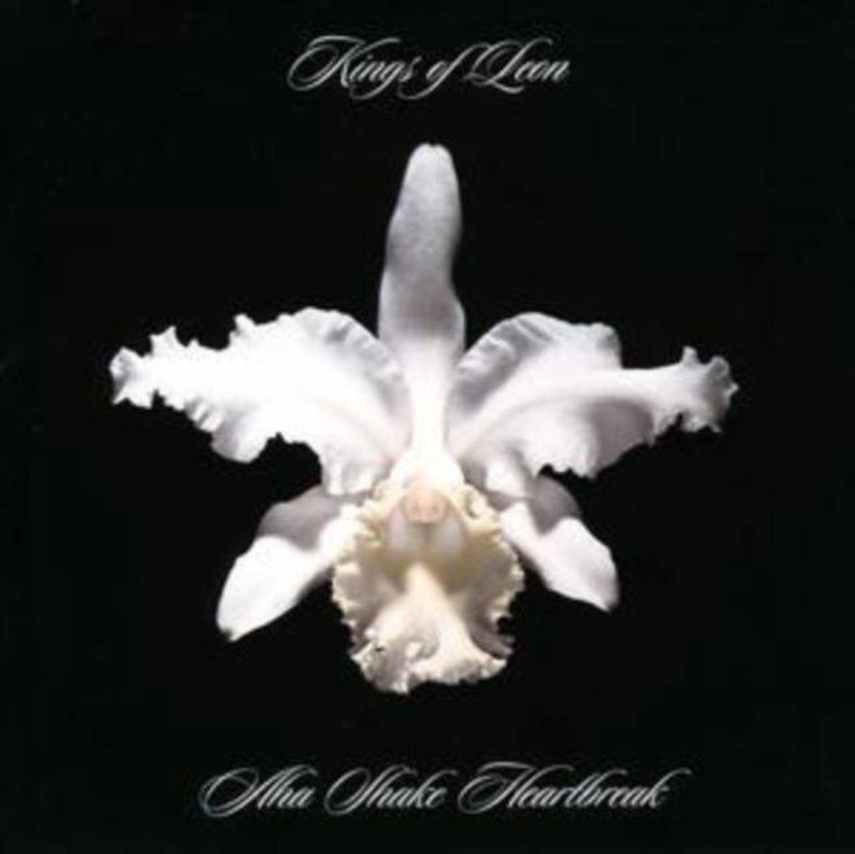 Aha shake heartbreak – CD