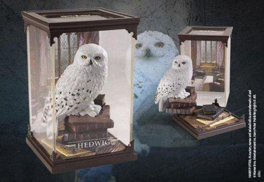 Hedwig Harry Potter magical creatures