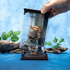 The Noble Collection Harry Potter beeld/figuur magical creatures dobby 19 cm