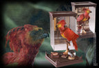 Harry Potter beeld/figuur magical creatures fawkes 19 cm