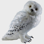 Harry Potter: hedwig 12 inch plush