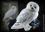 Harry Potter: hedwig 12 inch plush
