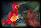 Fawkes the phoenix (NN8873)