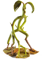The Noble Collection Fantastic Beasts – magical creatures no 2 figuur – bowtruckle figuur