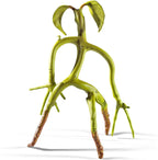 Fantastic Beasts: buigbare bowtruckle