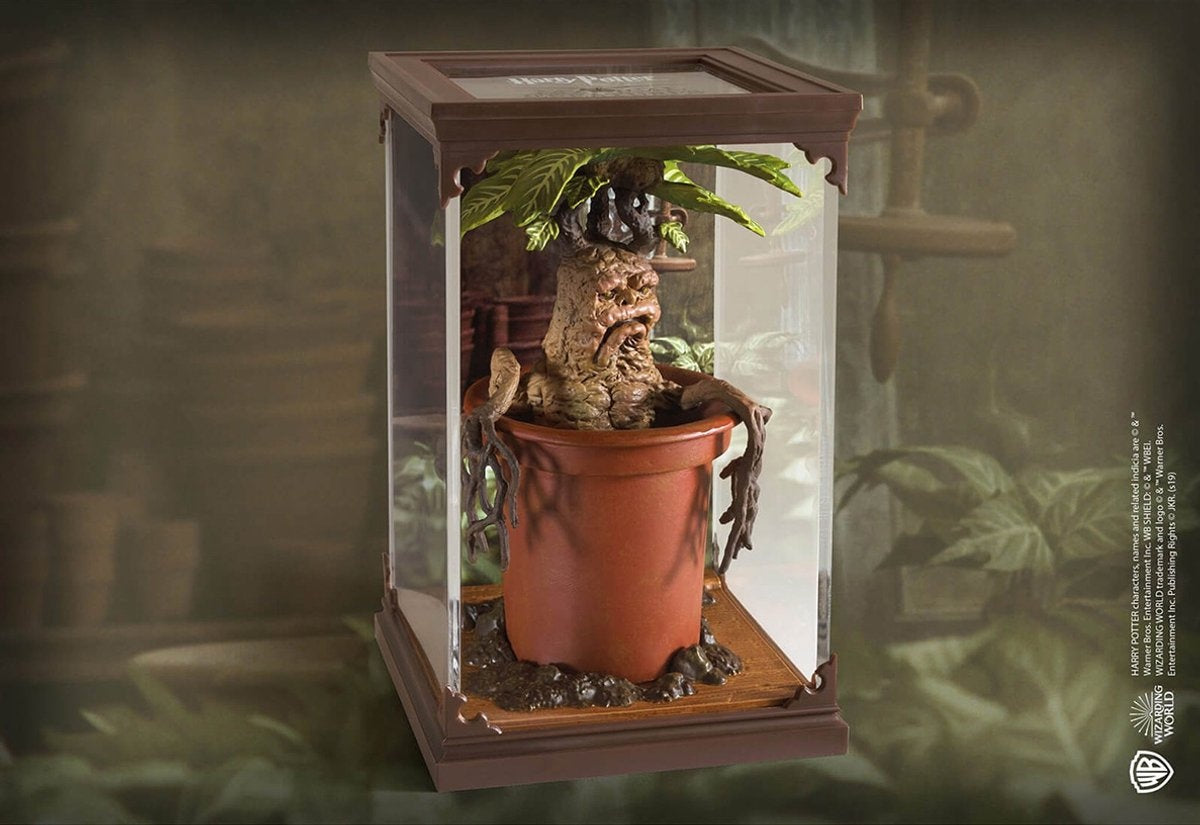 The Noble Collection Harry Potter magical creatures #17 – figuur – mandragora