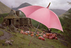 The Noble Collection Harry Potter verzamelobject rubeus hagrid umbrella wand roze – replica