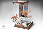 The Noble Collection jurassic park – figuur – velociraptor