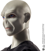 Harry Potter – harry & voldemort – pop