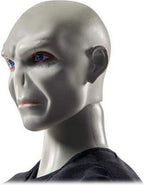 Harry Potter – harry & voldemort – pop