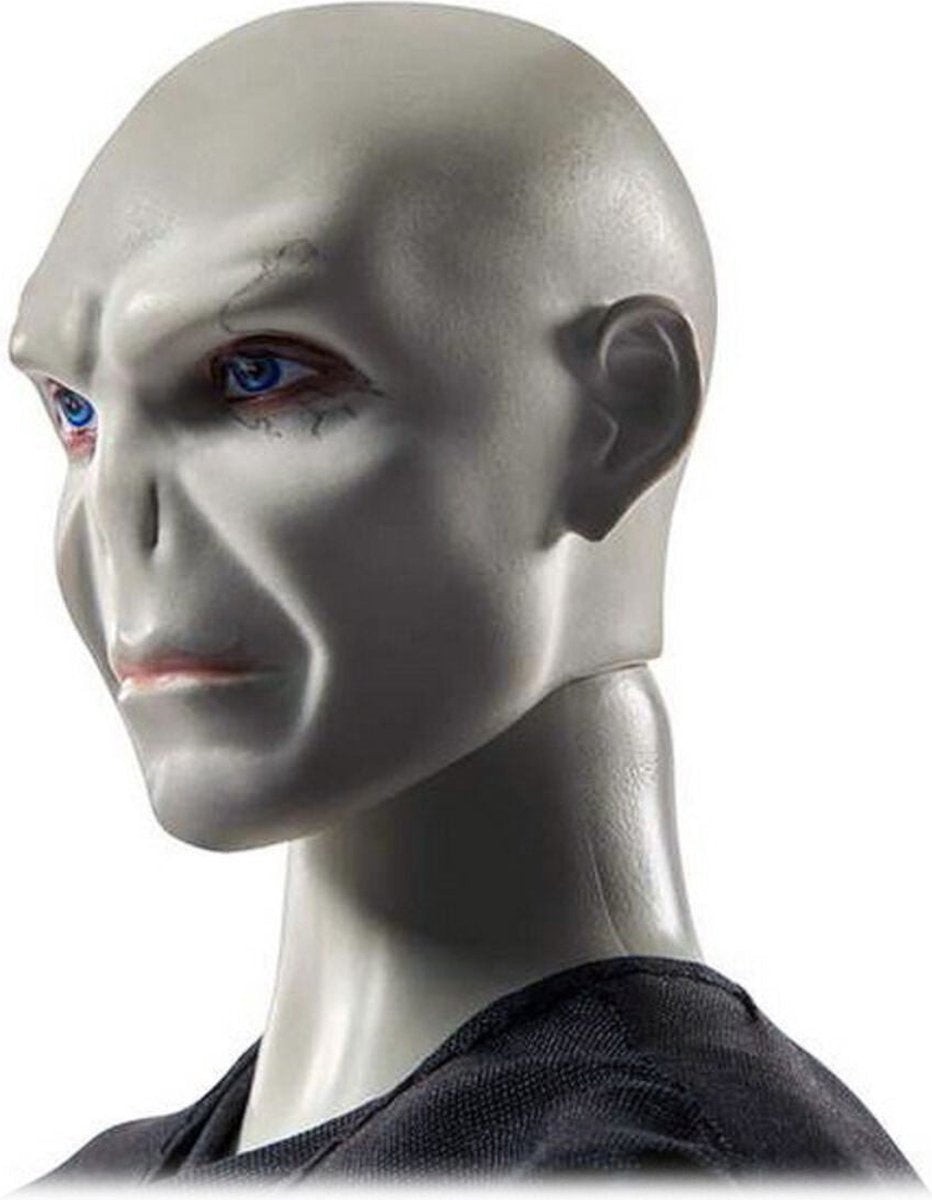 Harry Potter – harry & voldemort – pop