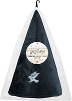 Ravenclaw student hoed