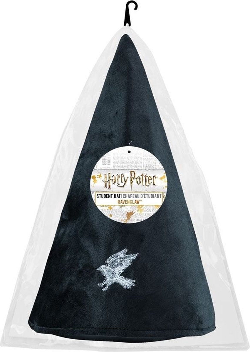 Ravenclaw student hoed
