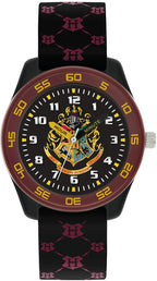 Disney Harry Potter time teacher