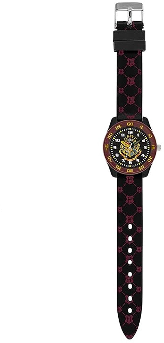 Disney Harry Potter time teacher