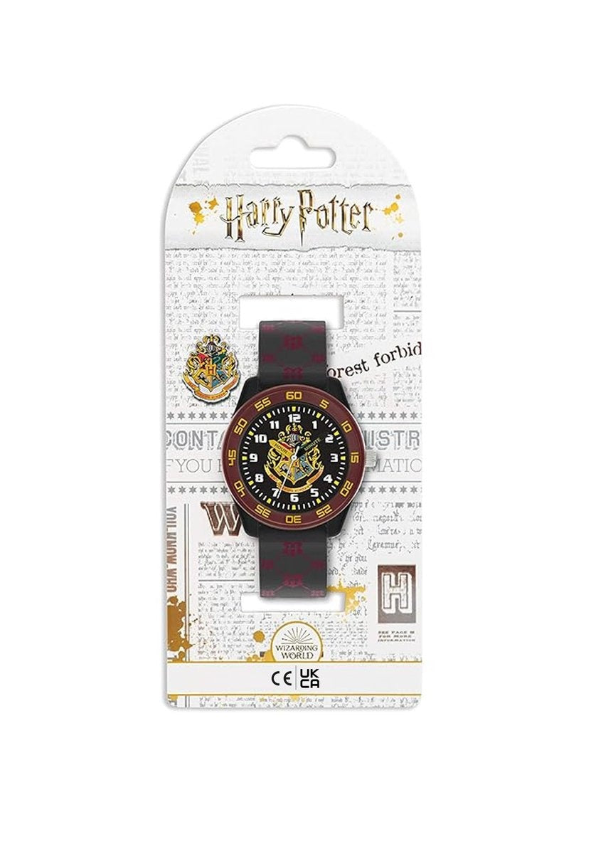 Disney Harry Potter time teacher