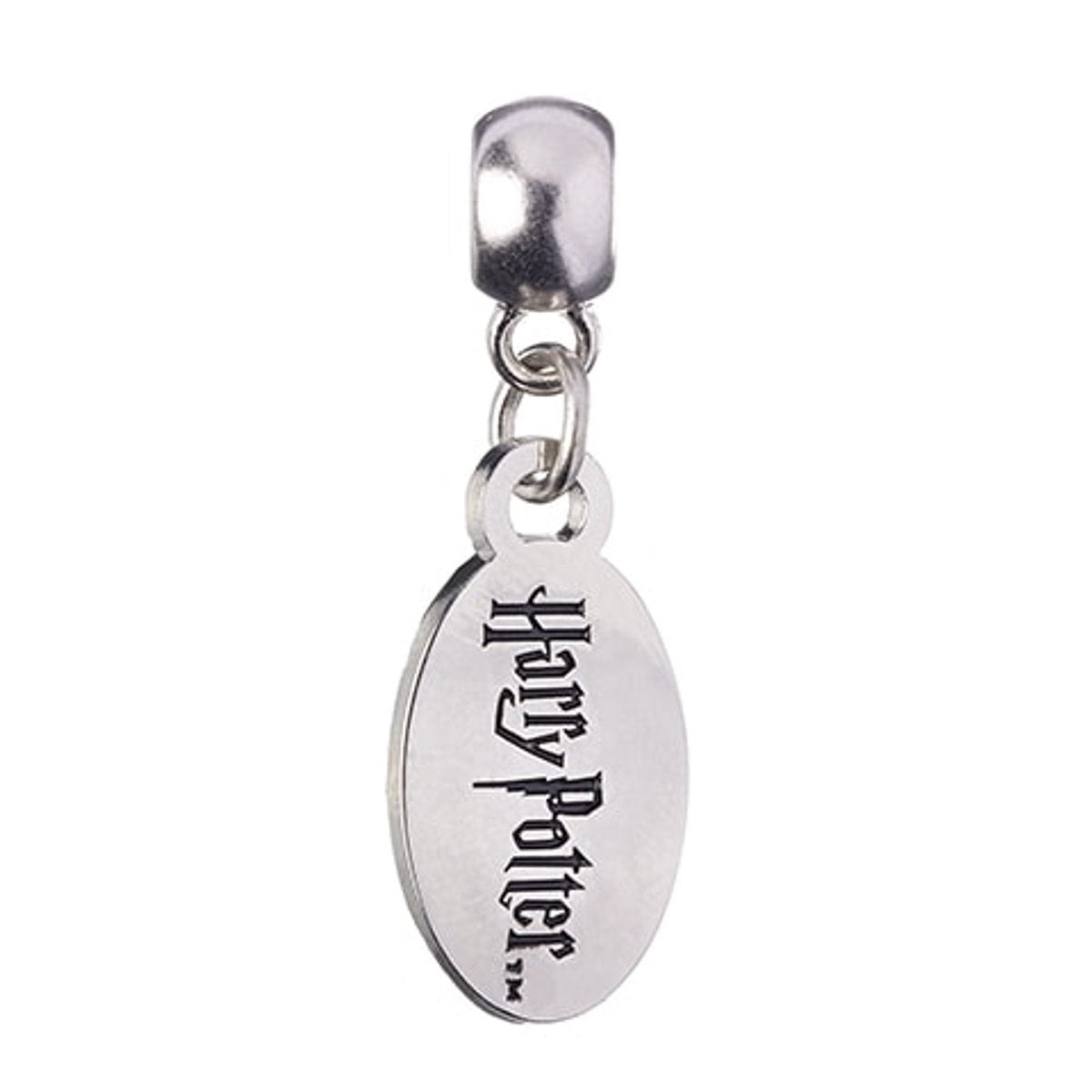 Harry Potter logo slider charm