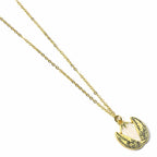 The Carat Shop – Harry Potter – gouden ei ketting – golden egg collier