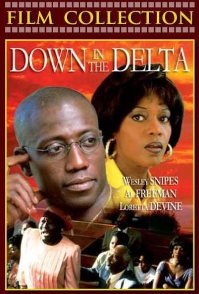 Speelfilm – down in the delta – DVD