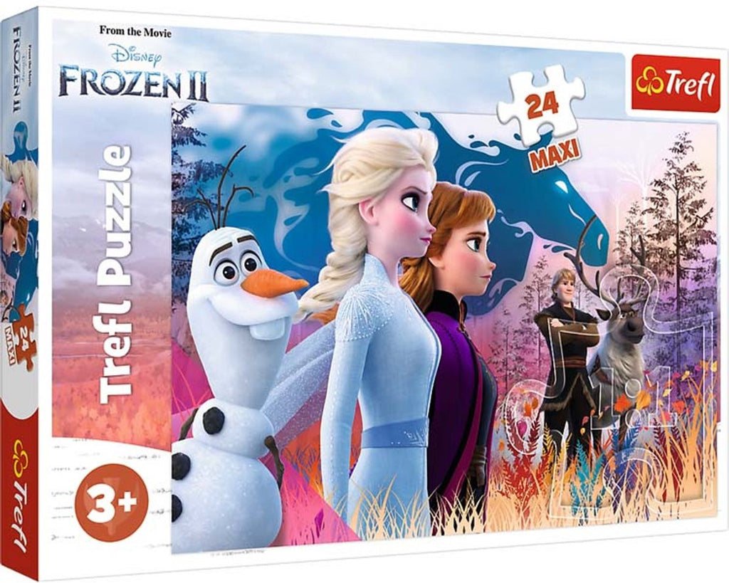 Puzzel d2:d120 frozen 2 maxi: 24 stukjes