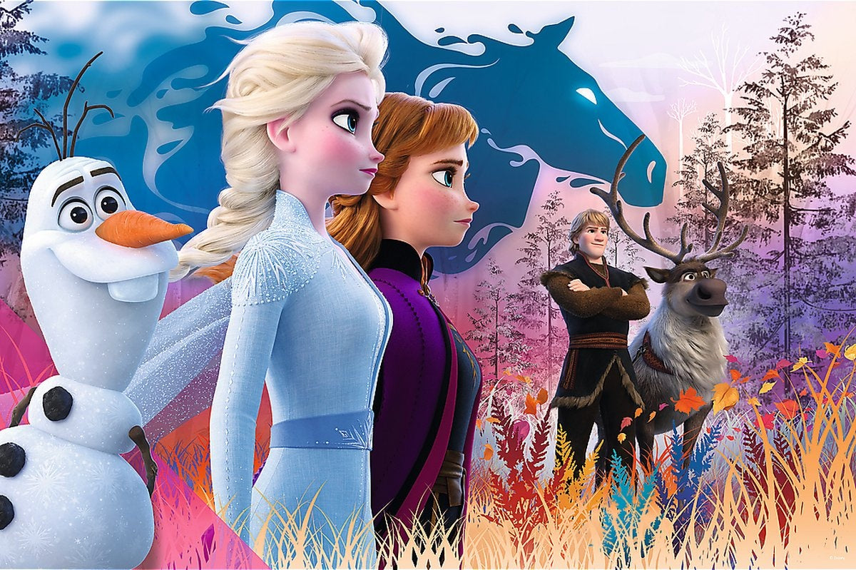 Puzzel d2:d120 frozen 2 maxi: 24 stukjes