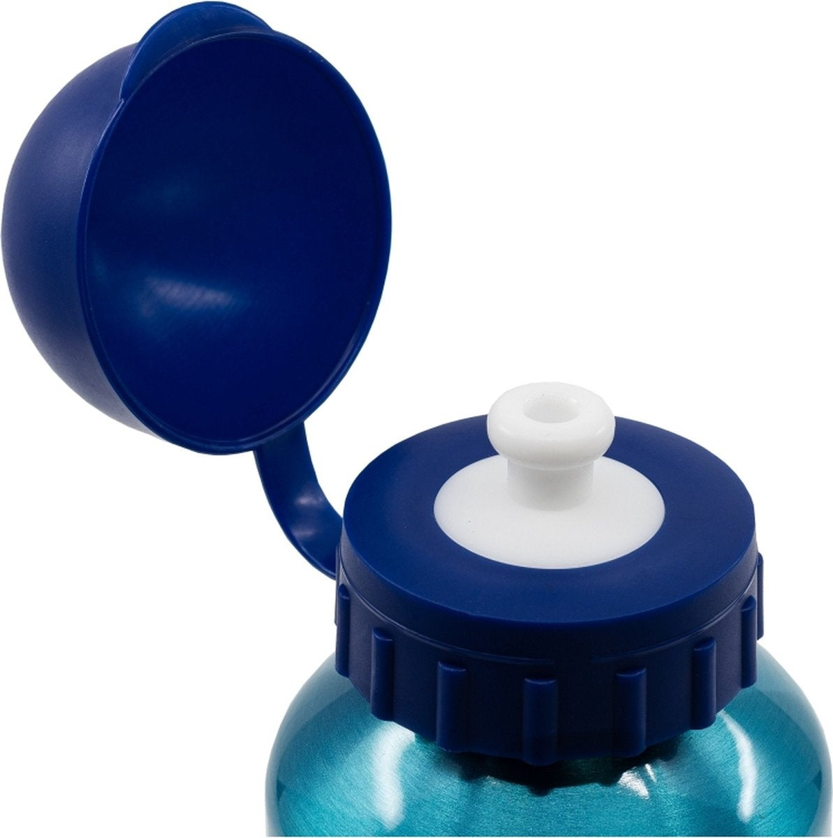 Bluey aluminium drinkfles – 400 ml – lichtgewicht – lekvrije schroefdop – drinkfles voor kinderen – groen/donkerblauw