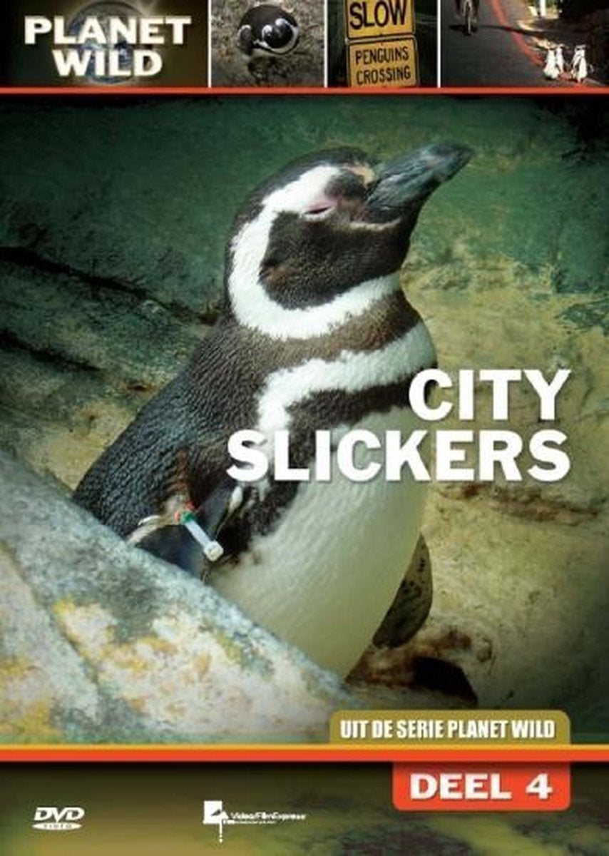 Special interest – city slickers – DVD