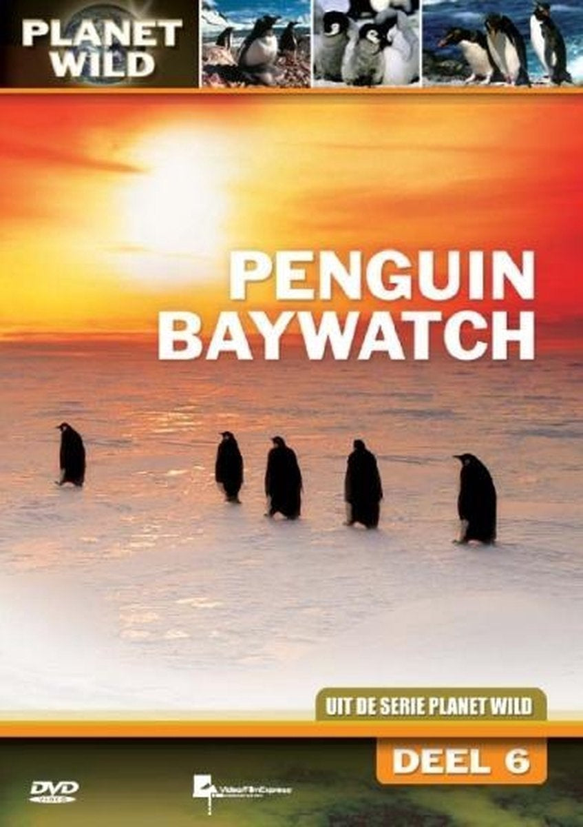 Penguin baywatch – planet wild – DVD