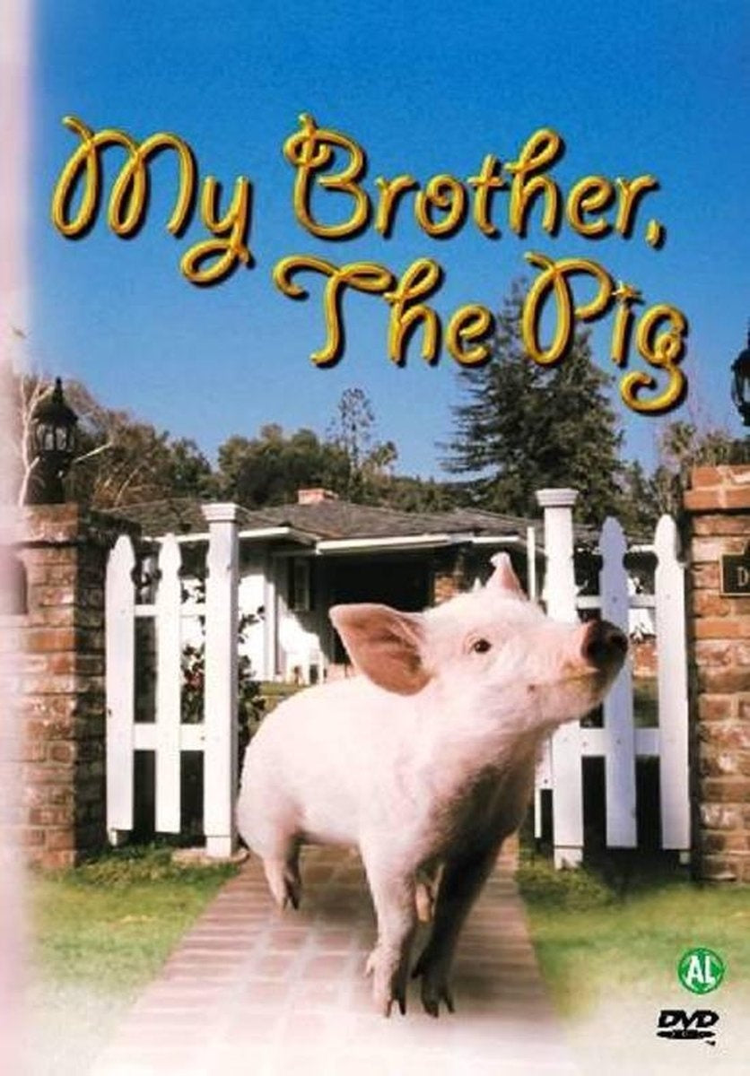 Speelfilm – my brother the pig – DVD