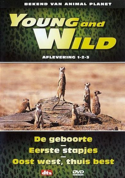 Young and wild 1-3 – DVD