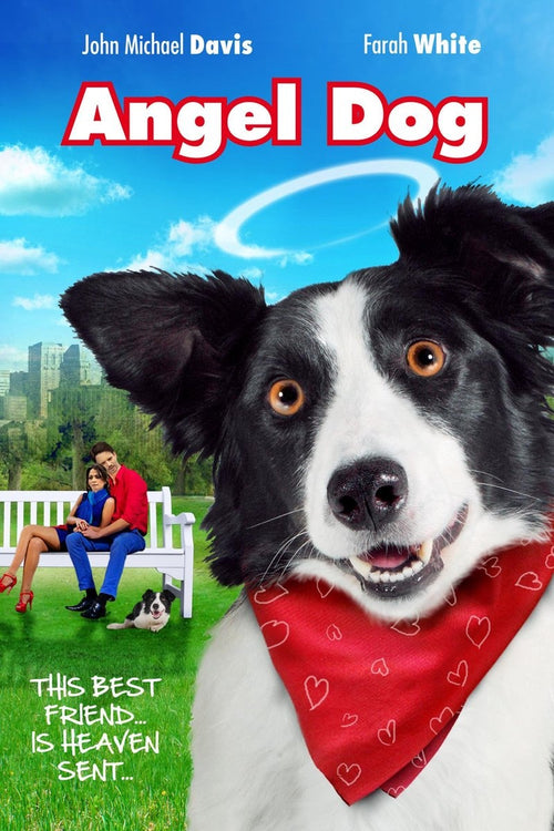 Angel dog (DVD)
