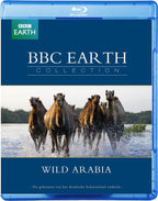 Bbc earth collection – wild arabia (Blu-ray)