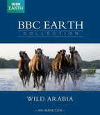 Bbc earth collection – wild arabia (Blu-ray)