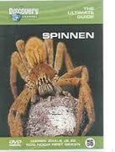 Spinnen – DVD