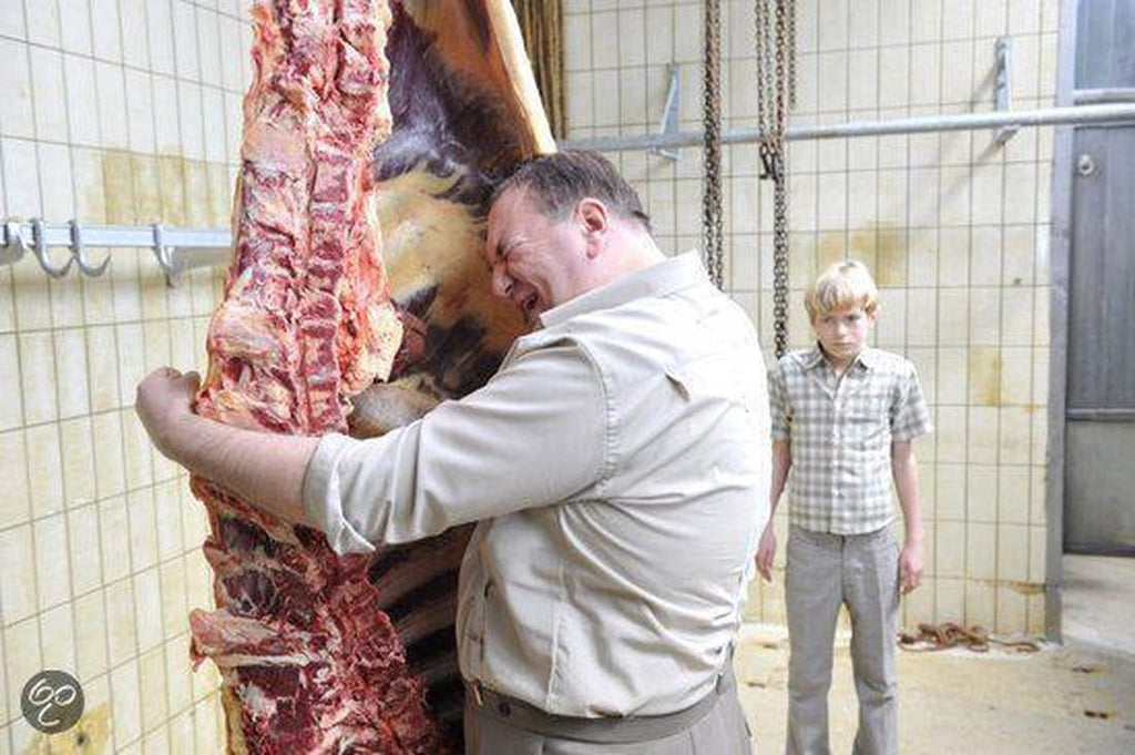 Speelfilm – vreemd bloed – DVD