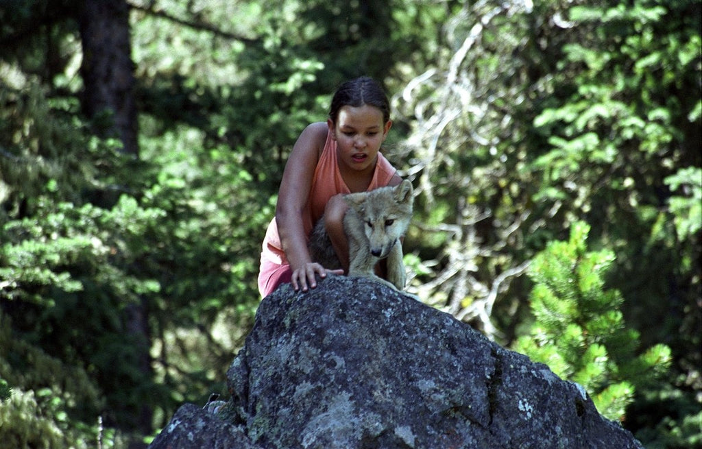 De zomer van de wolf – young and quality films – DVD