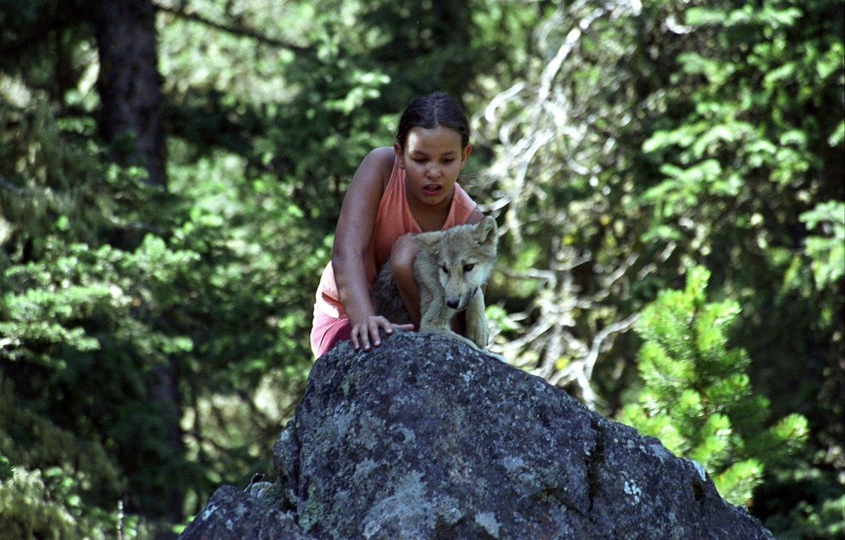 De zomer van de wolf – young and quality films – DVD