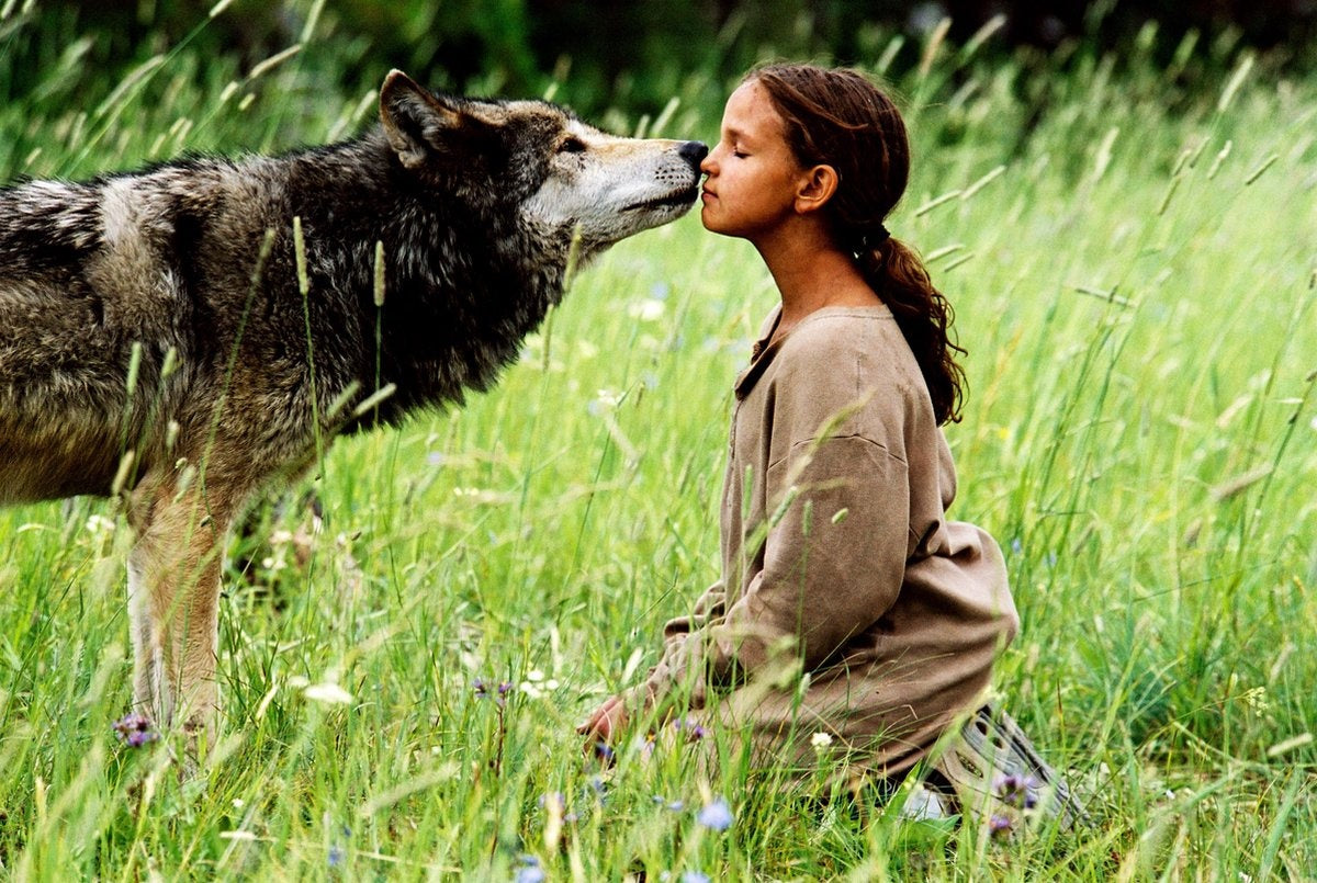 De zomer van de wolf – young and quality films – DVD