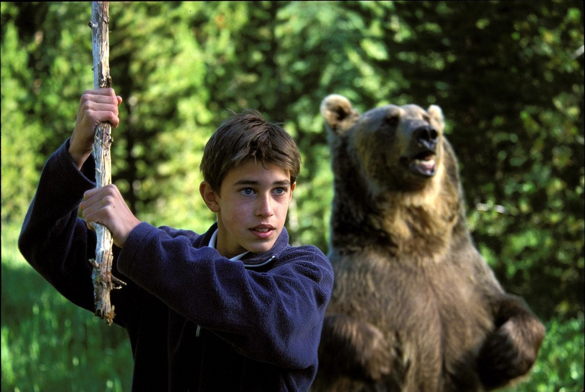 De zomer van de wolf – young and quality films – DVD