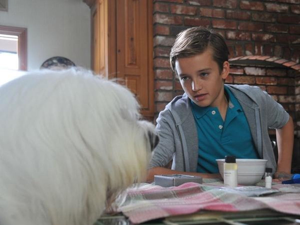 Honden filmbox – DVD