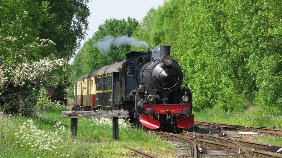 Op en rond het spoor – DVD